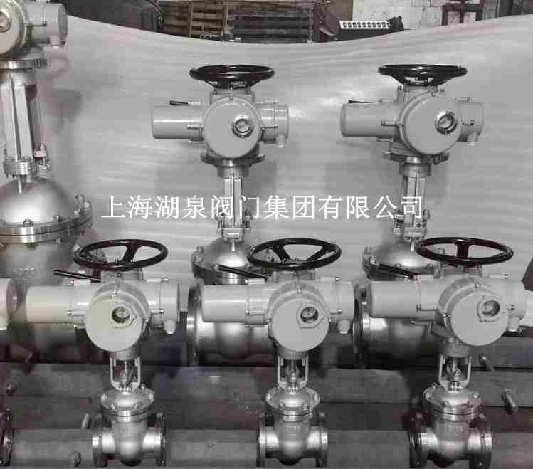 dn150電動(dòng)閘閥生產(chǎn)廠(chǎng)家