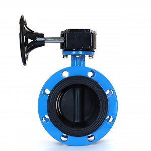 法蘭式蝸輪蝸桿蝶閥DN125，1.6Mpa橡膠密封